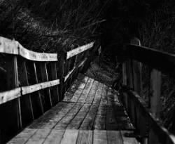 Nethervoid : The Northern Hallows Nethervoid : The Northern Hallows